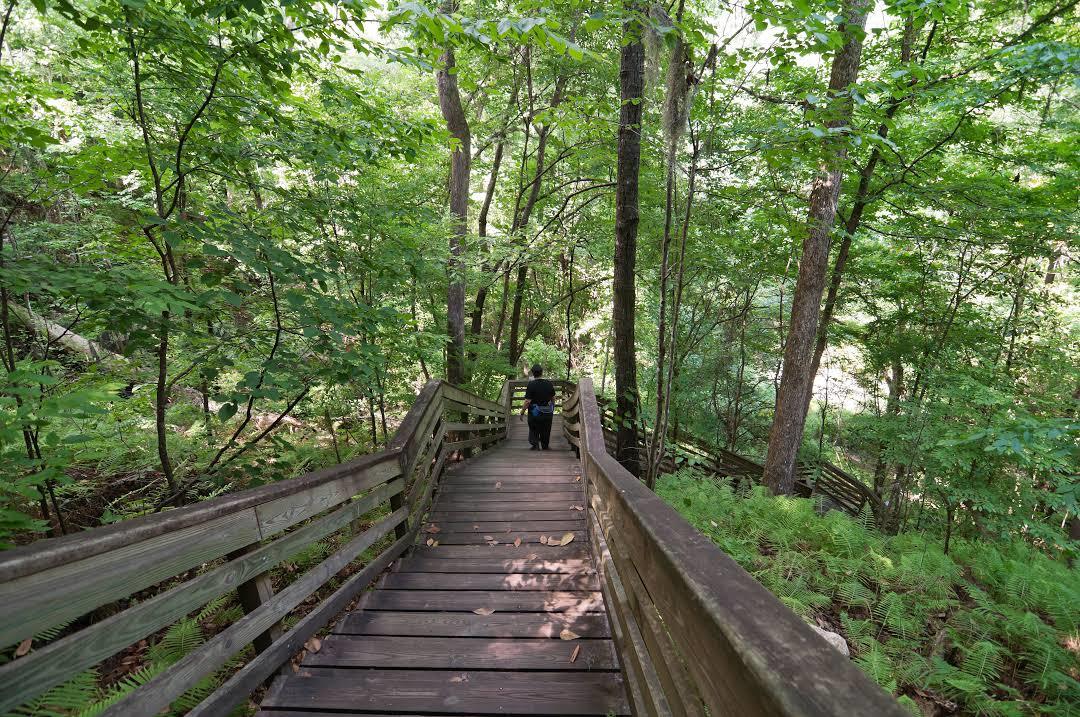 Devil's Millhopper Geological State Park
