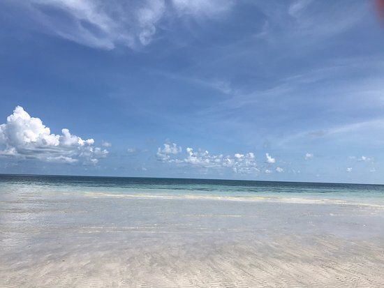 Great White Heron National Wildlife Refuge