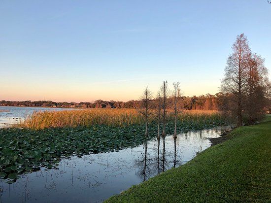 Lake Hollingsworth