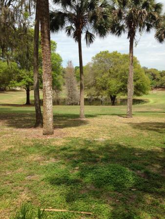 Magnolia Park