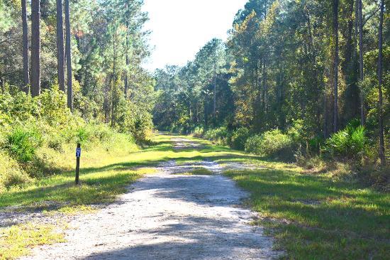 Bayard Conservation Area