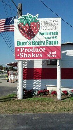 Burr's Berry Farm