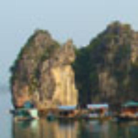 Popeyes Louisiana Kitchen