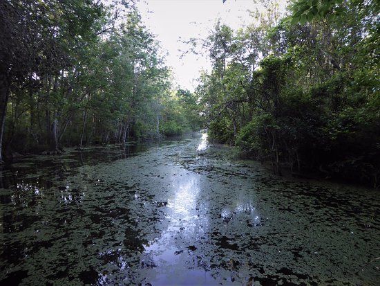 Flat Island Preserve