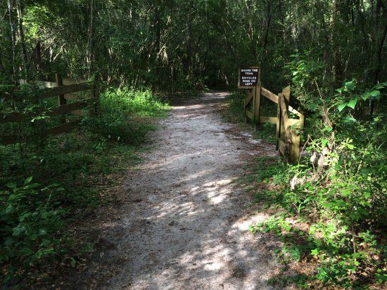 Loblolly Woods Nature Park