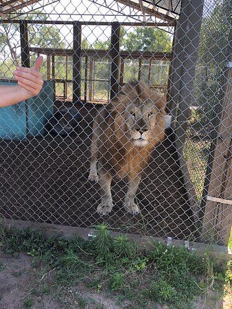 Central Florida Animal Reserve