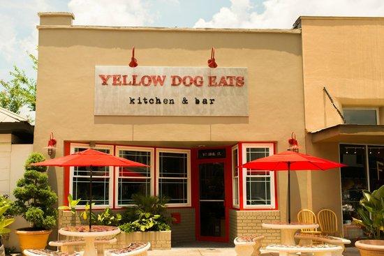 Yellow Dog Eats Kitchen & Bar