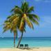 Tropical Smoothie Cafe