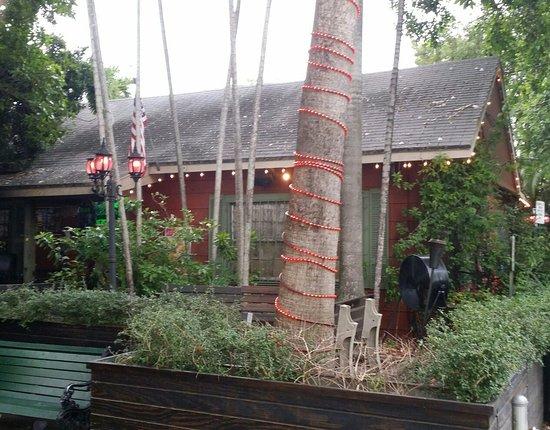 Bougainvillea's Old Florida