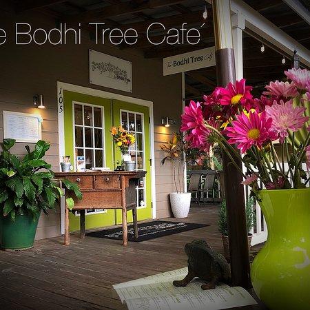 The Bodhi Tree Cafe