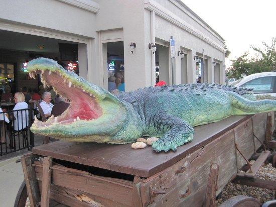 Downtown Gatorz