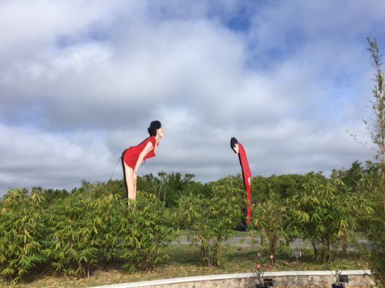 Peace River Botanicals & Sculpture Gardens