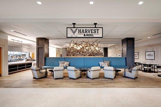 Harvest & Reel