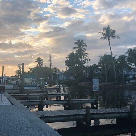 Dilly's Seafood