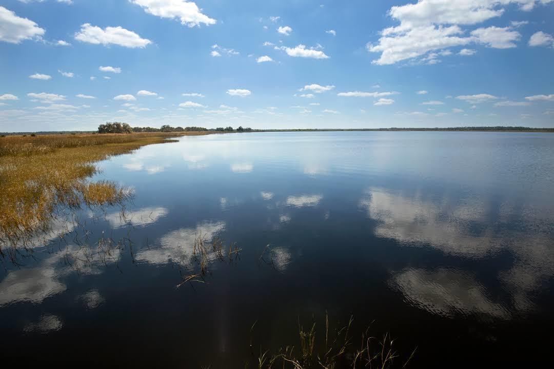 Lake Tohopekaliga