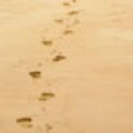 Doghouse Bar & Grill