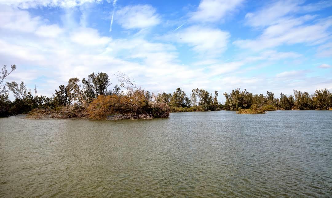 Lakes Park