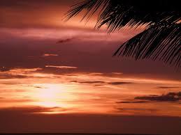 Bonita Beach