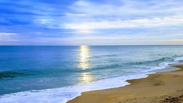 Archie Carr National Wildlife Refuge