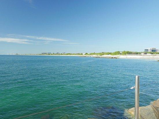 Dr. Von D. Mizell-Eula Johnson State Park