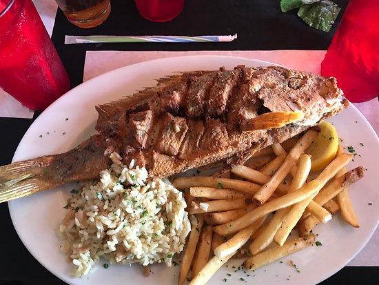 Crazy Fish Bar & Grill