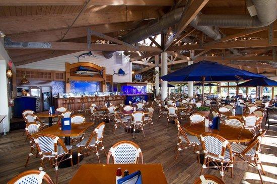 Sailfish Marina & Resort