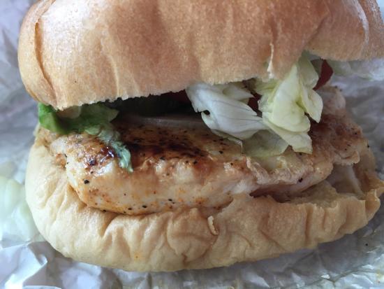 Hot Diggity Dogs & More