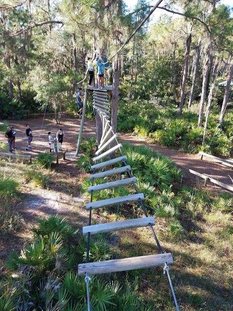 TreeUmph Adventure Course