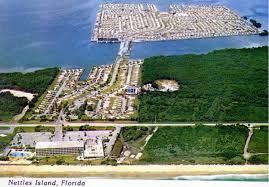Nettles Island