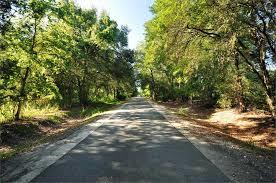Gainesville-Hawthorne State Trail