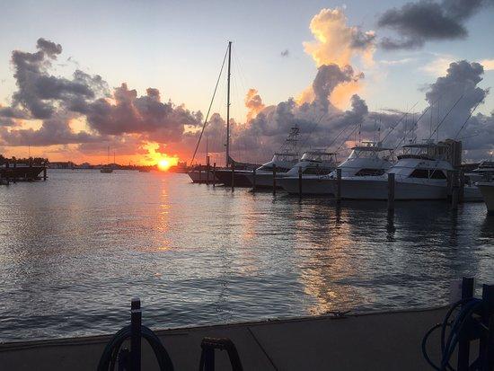 Sailfish Dining