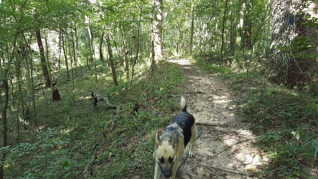Lake Jackson Mounds Archaeological State Park