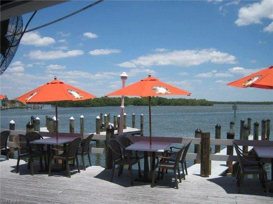 Nauti Parrot Dock Bar