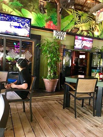 Green Iguana Bar & Grill