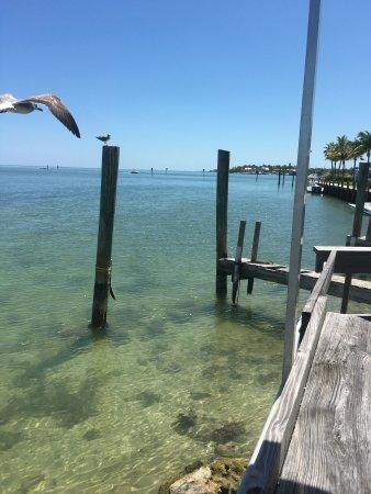 Jaws Raw Bar