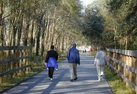 Nature Coast State Trail