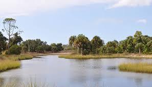 Clam Bayou