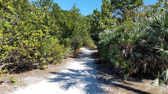 Leffis Key Preserve