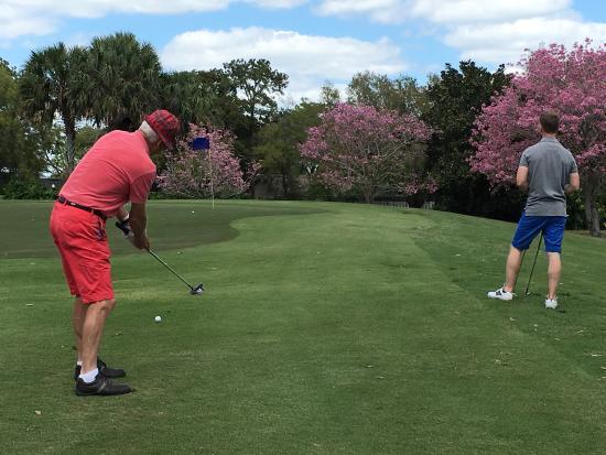 Winter Pines Golf Course