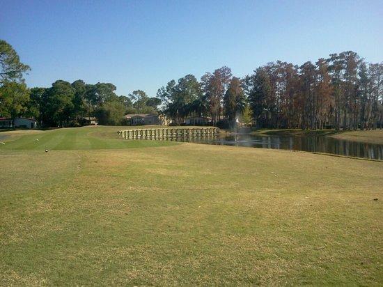 Del Tura Golf and Country Club