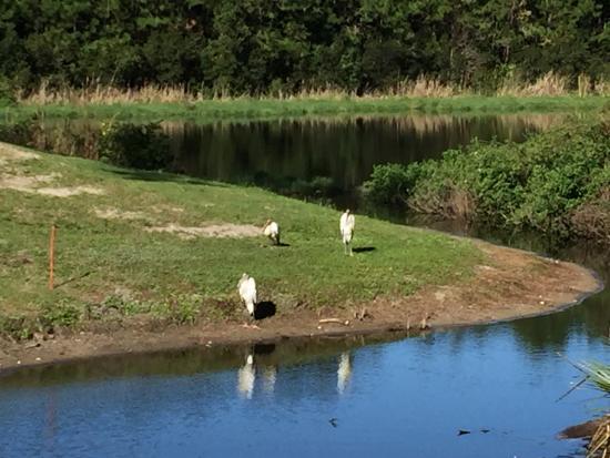 Indigo Lakes Golf Club
