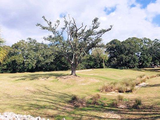 Osceola Municipal Golf Course