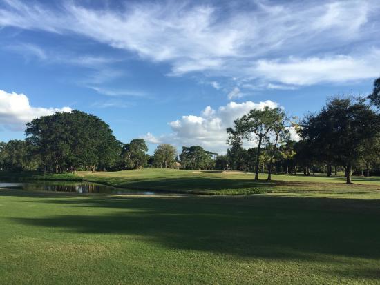 Palmetto Pines Country Club