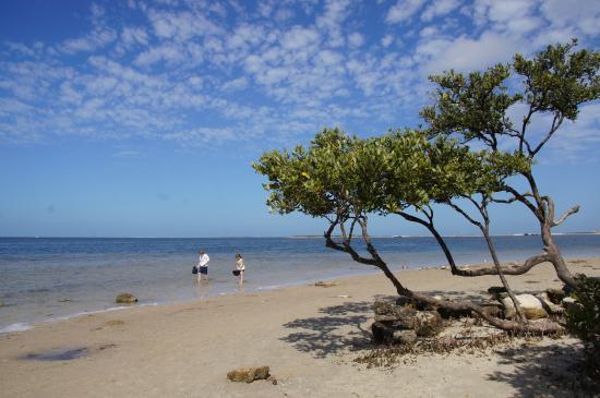 Sunset Beach