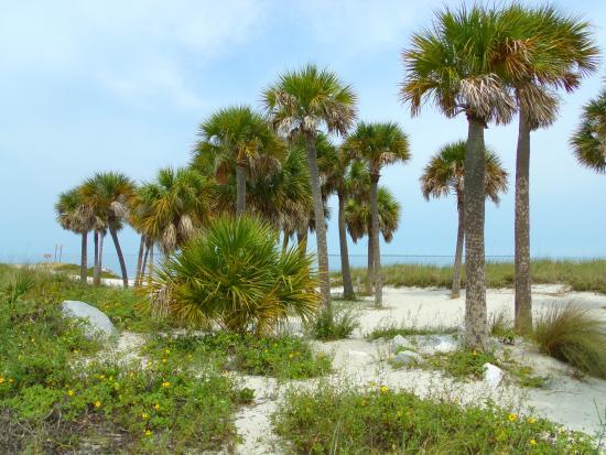 Fred Howard Park