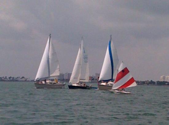 Aquatic Rental Center and Sailing School