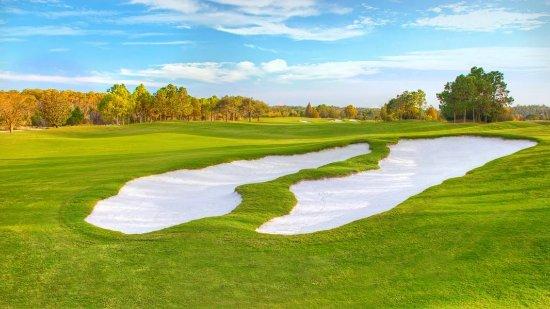 Shingle Creek Golf Club