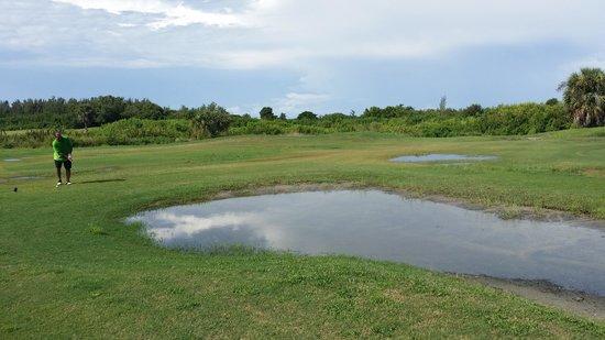 Royal Tee Golf Course