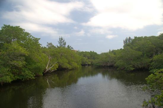 Delaware Scrub Natural Area