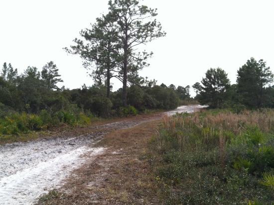Cedar Key Scrub State Reserve
